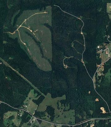A satellite image of the area around the forest.